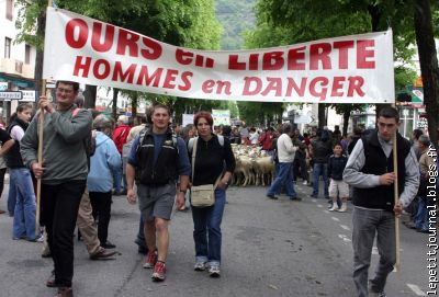 Hommes en Liberté, Ours en Danger (photo P.Barat)